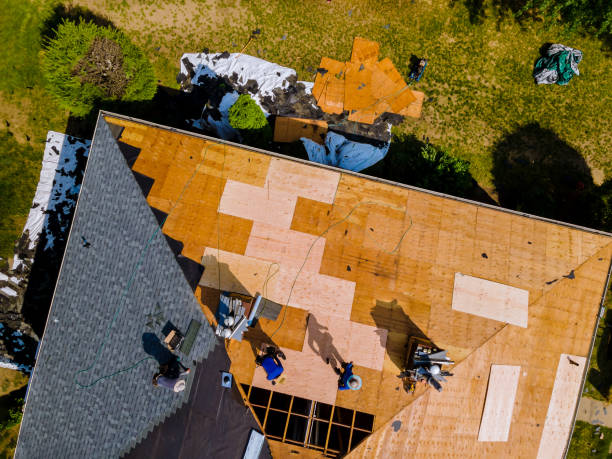 Quick and Trustworthy Emergency Roof Repair Services in Arcola, TX